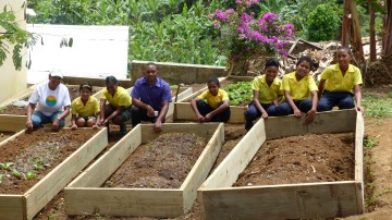 Primary School Students Learn How to Grow Vegetables for School Meals